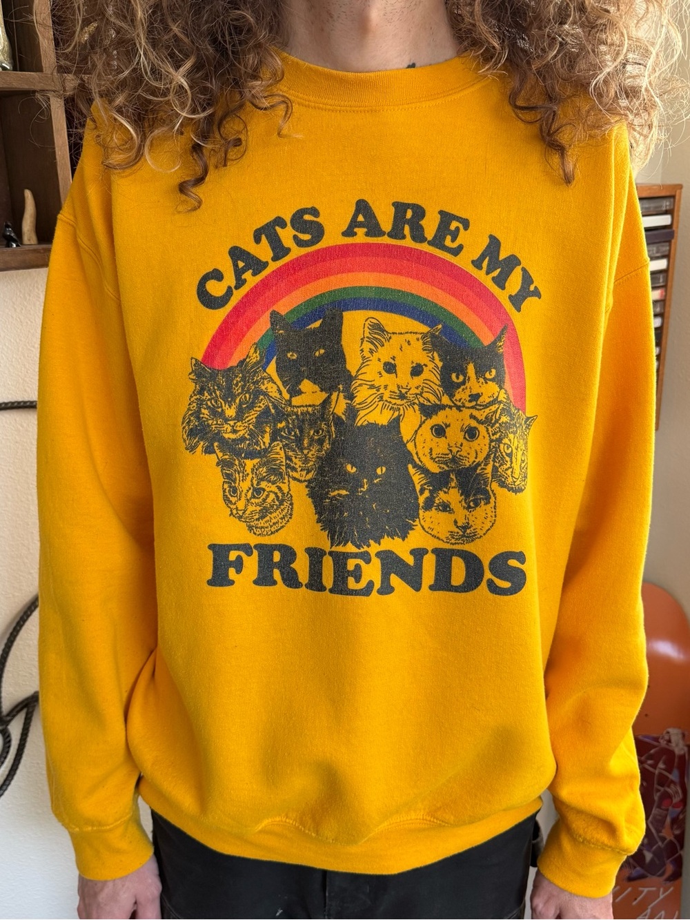💀 SOLD 💀 Cats Are My Friends Yellow Rainbow Graphic Crewneck Sweatshirt ~ Size L - Picture 1 of 8
